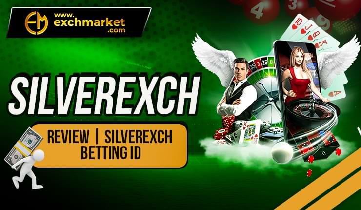 Silverexch Review 2024: What You Need To Know