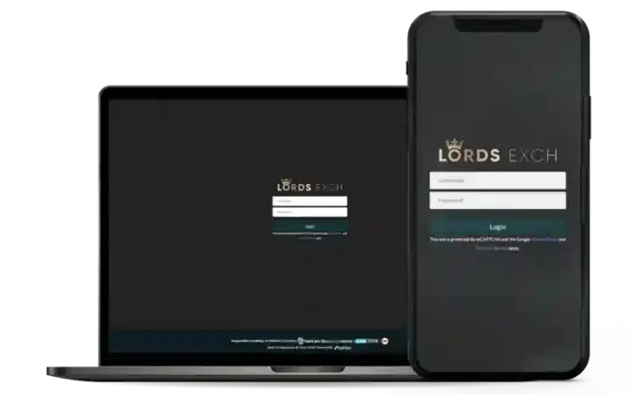 Lord Exchange Review: Unlocking the Secrets of Smart Betting