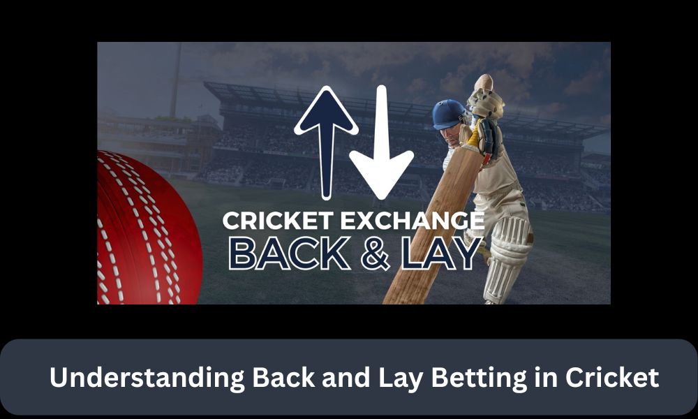 What Is Back and Lay In Cricket Betting