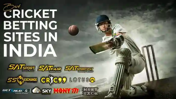 Top 9 Best Profitable Cricket Betting Sites in India 2024