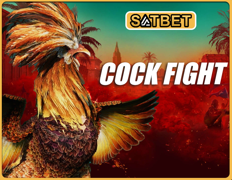 How to Place Bet on Cock Fight on Satbet