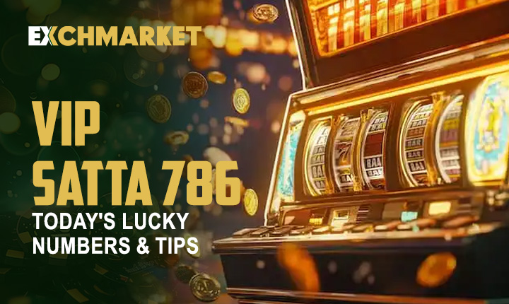 VIP Satta 786: Today&#8217;s Lucky Numbers &#038; Tips