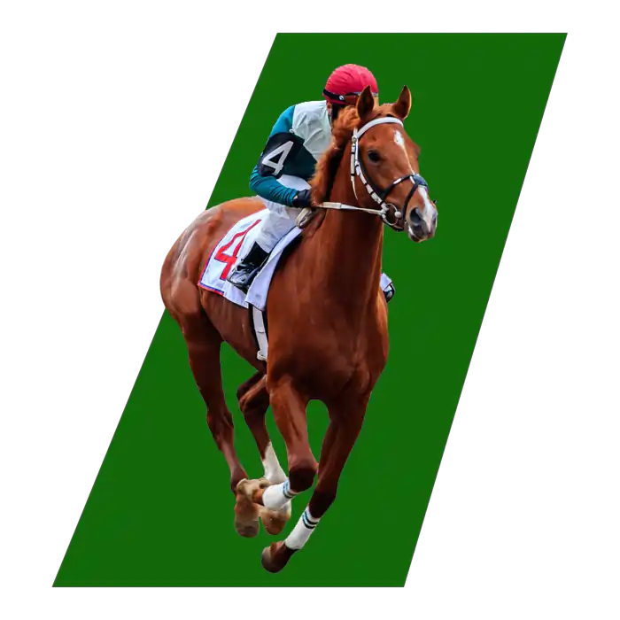 Horse Racing