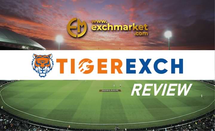 Tiger Exchange 247 | Everything You Need to Know