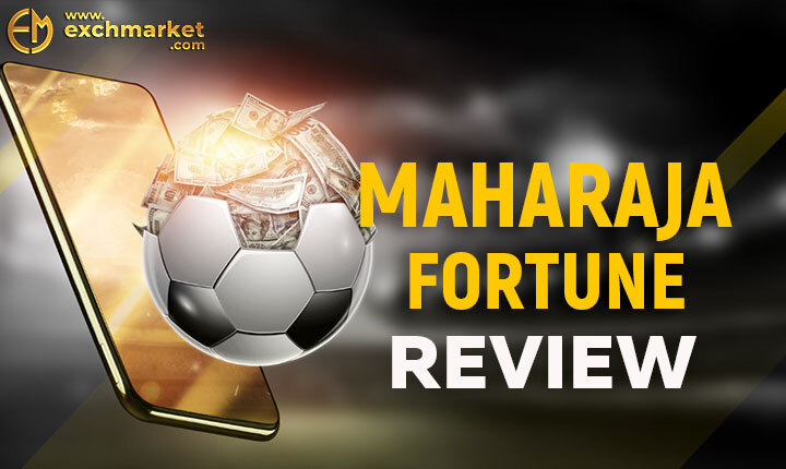 Maharaja Fortune: Top Online Sportsbooks in India 2024