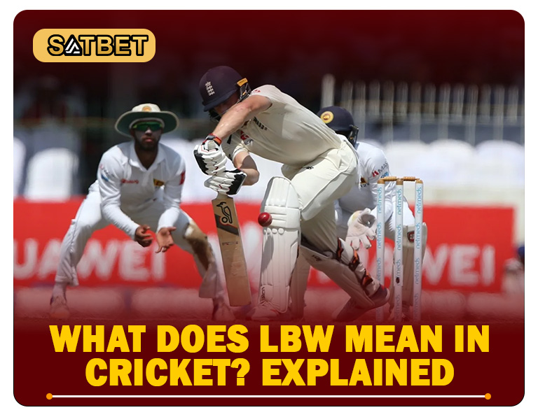 What Does LBW Mean in Cricket? Explained 