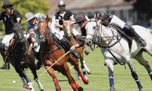 Satsport EXCHANGE OFFER Horse Riding BETTING