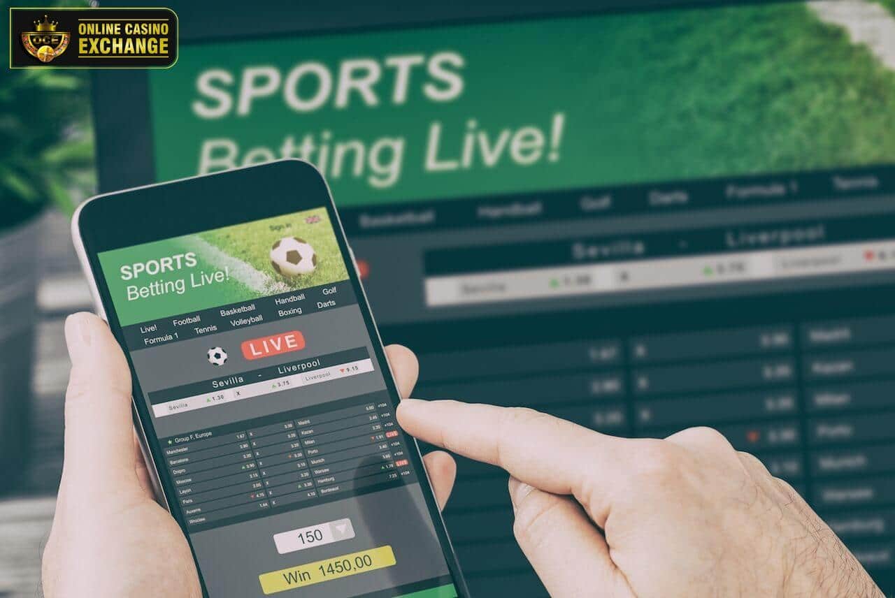 Betting Top 10 Sites &#8211; Betting Sites Guide in India