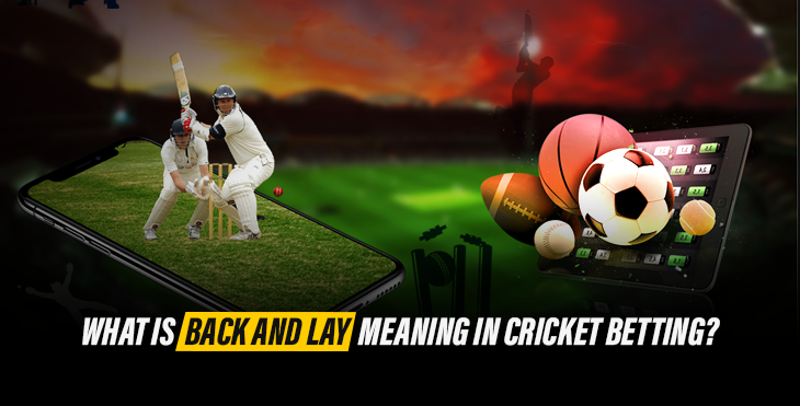 What is Back and Lay Meaning in Cricket Betting?