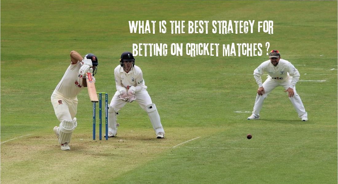 What is the best strategy for betting on cricket matches?