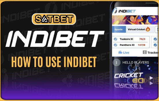 Indibet Review