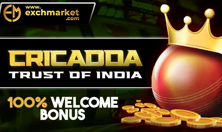 Your Ultimate Guide: Cricadda Review, Features, and More