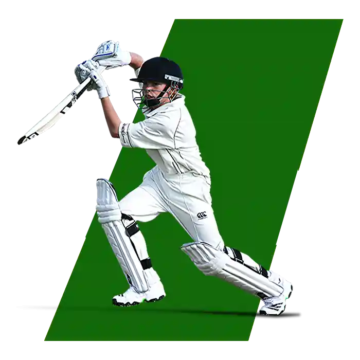 cricket icon