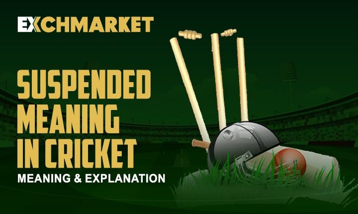 Suspended Meaning in Cricket: Meaning &#038; Explanation