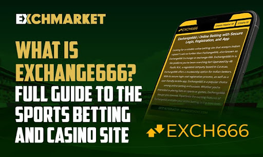 What Is Exchange666? Full Guide to the Sports Betting and Casino Site