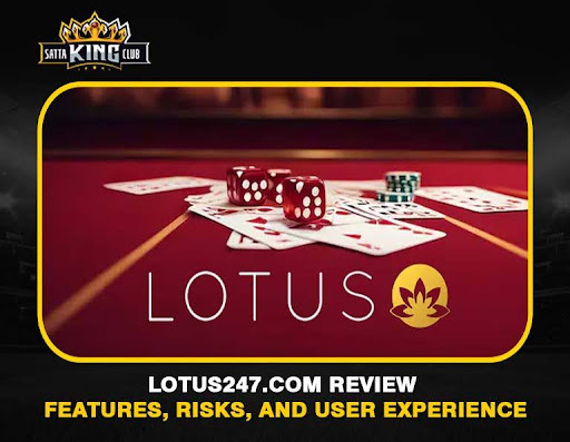 Lotus247.com Review – Features, Risks, and User Experience