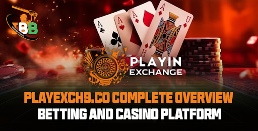 Playexch9.co Complete Overview – Betting and Casino Platform